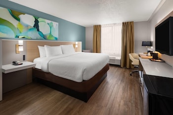 Room, 1 King Bed, Mobility Accessible, Non Smoking (Bathtub w/ Grab Bars)