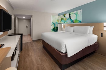 Room, 1 King Bed, Mobility Accessible, Non Smoking (Bathtub w/ Grab Bars)