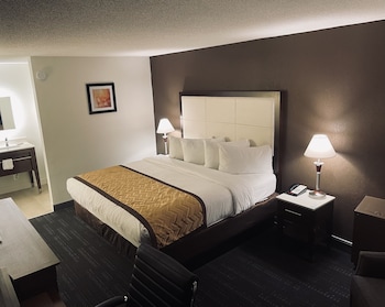 Room, 1 King Bed, Non Smoking (Atrium)