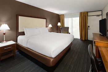 Room, 1 King Bed, Non Smoking (Atrium)
