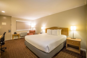 Standard Room, 1 King Bed, Non Smoking, Refrigerator & Microwave