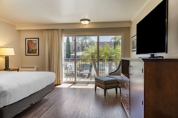 Standard Room, 1 King Bed, Accessible, Non Smoking