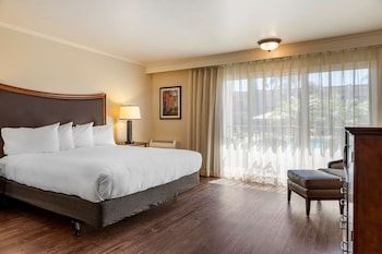 Standard Room, 1 King Bed, Accessible, Non Smoking