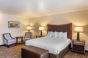 Standard Room, 1 King Bed, Balcony, Pool View (Oversized Room)