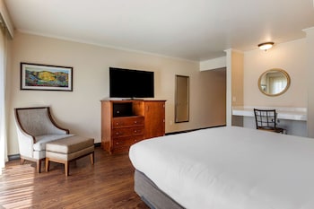 Standard Room, 1 King Bed, Accessible, Non Smoking