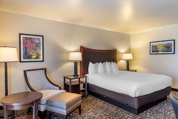 Standard Room, 1 Queen Bed, Accessible, Non Smoking