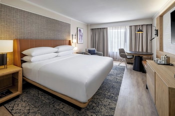 Room, 1 King Bed