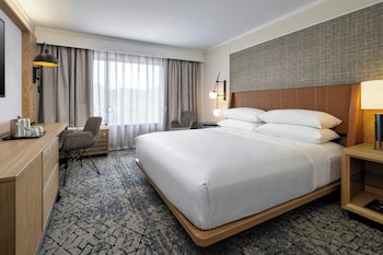 Room, 1 King Bed