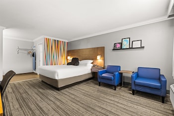 Room, 1 King Bed, Non Smoking