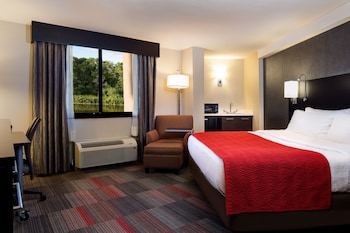 Standard Room, 1 King Bed with Sofa bed, River View (& Sofa Bed)