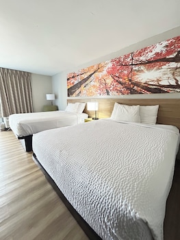 Room, 2 Queen Beds, Non Smoking (First Floor)