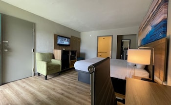 Standard Room, 1 King Bed, Non Smoking (Ground Floor)