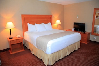 Comfort Room, 1 King Bed, Non Smoking