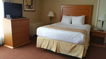 Comfort Single Room, 1 Queen Bed, Non Smoking