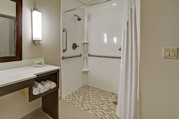 Standard Room, 1 King Bed, Accessible (Mobility, Accessible Tub)