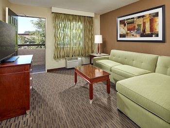 Suite, 1 King Bed with Sofa bed (Living Area)