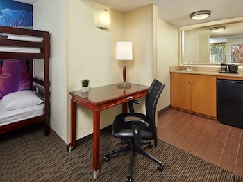 Deluxe Suite (1 King Bed and 1 Bunk Bed)