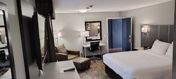 Standard Room, 1 King Bed, Accessible, Non Smoking