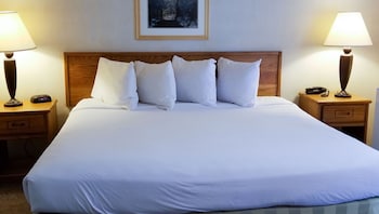 Room, 1 King Bed, Non Smoking