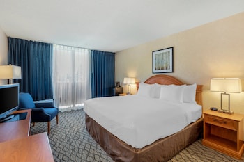 Standard Room, 1King Bed, Non Smoking