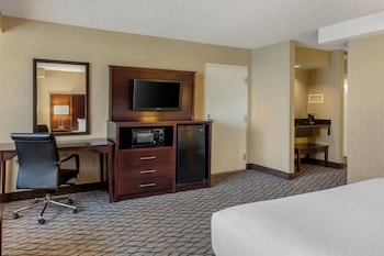 Suite, 1 King Bed, Accessible with Roll-in Shower, Non Smoking