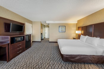 Suite, 1 King Bed, Accessible with Roll-in Shower, Non Smoking