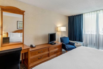 Standard Room, 1King Bed, Non Smoking