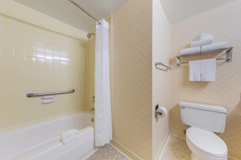 Suite, 1 King Bed with Sofa bed, Non Smoking