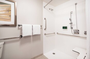 Room, 1 King Bed with Sofa bed (Mobility/Hearing Access, Roll-In Shwr)