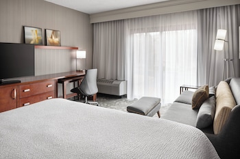 Room, 1 King Bed with Sofa bed