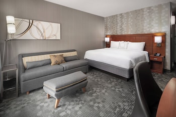 Room, 1 King Bed with Sofa bed