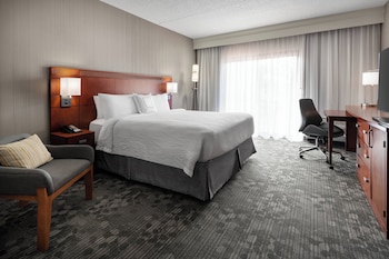 Room, 1 King Bed with Sofa bed