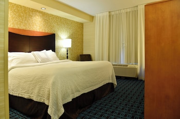Suite, 1 King Bed with Sofa bed