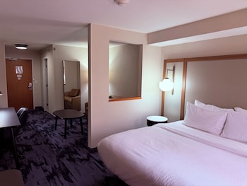 Executive Suite, 1 King Bed with Sofa bed