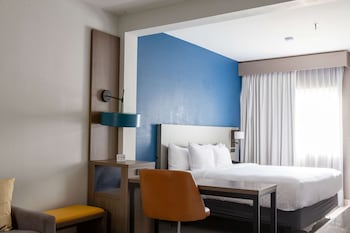 Suite, 1 King Bed with Sofa bed, Non Smoking