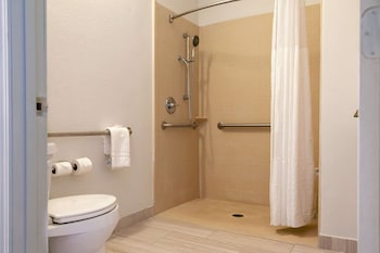 Suite, 1 King Bed with Sofa bed, Accessible, Non Smoking