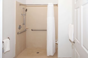 Suite, 1 King Bed with Sofa bed, Accessible, Non Smoking