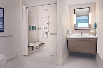 Room, 1 King Bed, Accessible, City View (Roll-in Shower)