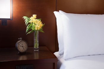 Deluxe Room, 1 King Bed (Hearing)