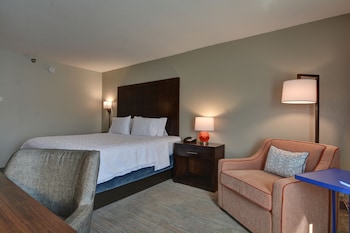 Room, 1 King Bed, Accessible, Non Smoking