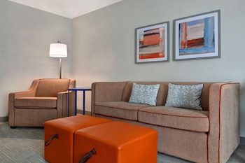 Suite, 1 King Bed with Sofa bed, Non Smoking