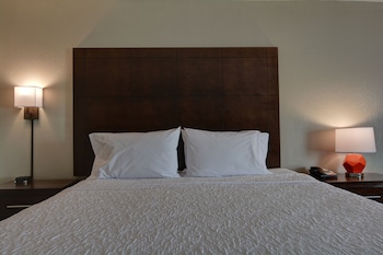 Room, 1 King Bed, Accessible, Non Smoking