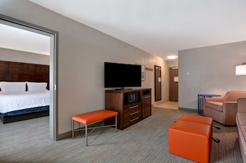 Suite, 1 King Bed with Sofa bed, Non Smoking
