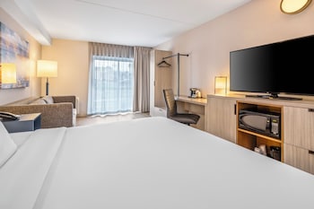Deluxe Room, 1 King Bed with Sofa bed, Refrigerator & Microwave, Ground Floor