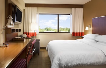 Room, 1 Queen Bed with Sofa bed