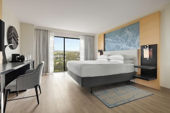 Club Room, 1 King Bed with Sofa bed (Mobility Accessible, Tub)