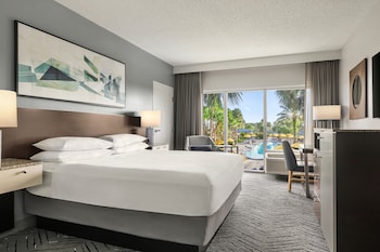 Room, 1 King Bed