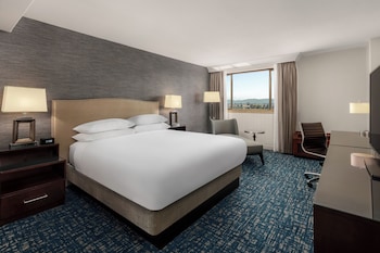 1 King Executive Suite
