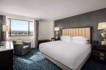 1 King One Bedroom Presidential Suite