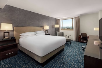 1 King Bed